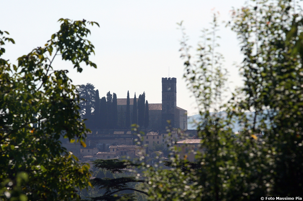 Duomo di Barga - Centro Storico - Vista da I Cedri 